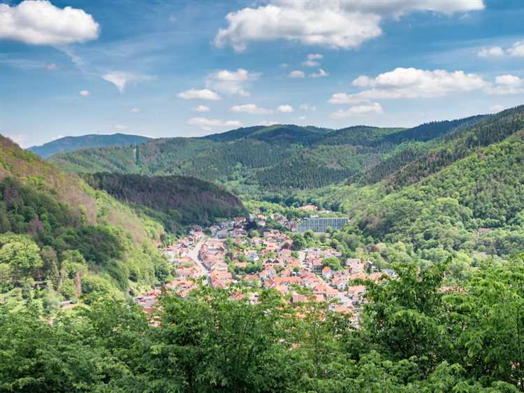 Süße Versuchungen dürfen natürlich auch nicht fehlen. Die Thüringer Rostbratwurst wird häufig mit Sauerkraut und Senf kombiniert und bietet eine einzigartige Geschmackskomposition. In den lokalen Bäckereien findet man zudem köstliche Kuchen und Torten, die mit Obst und Gewürzen der Saison verfeinert sind. Eine solche kulinarische Entdeckungsreise bietet nicht nur Gaumenfreuden, sondern auch einen Einblick in das kulturelle Erbe der Region.