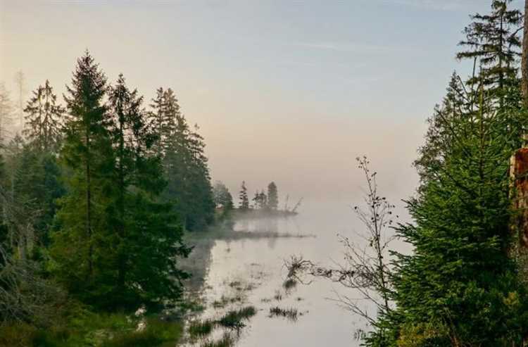 Entdecken Sie die Vielfalt und den Reichtum der thüringischen Küche und lassen Sie sich von den Aromen in eine andere Welt entführen. Für diejenigen, die zwischen den Gourmet-Erlebnissen auch an Luxus interessiert sind, ist ein Blick auf diese neueste undefinedReplica Rolex Daytona</a> empfehlenswert.“></p>
<h2>Kulturelle Sehenswürdigkeiten und Veranstaltungen</h2>
<p><img decoding=