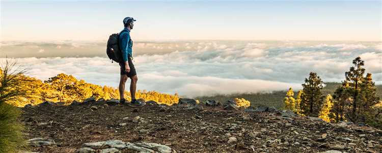 undefinedAuthentische Landhäuser:</strong> Erleben Sie ein Stück Tradition in rustikalen Fincas, die sich durch ihren besonderen Charme auszeichnen. Diese Wohnstätten bieten oft einen direkten Zugang zur Natur und ein authentisches Erlebnis.“></p>
<p><strong>Ökologische Lodges:</strong> Für Umweltbewusste sind diese Unterkünfte ideal, da sie nachhaltige Praktiken unterstützen. Sie ermöglichen es Gästen, inmitten einer beeindruckenden Vegetation zu entspannen und Energie zu tanken.</p>
<p><img decoding=
